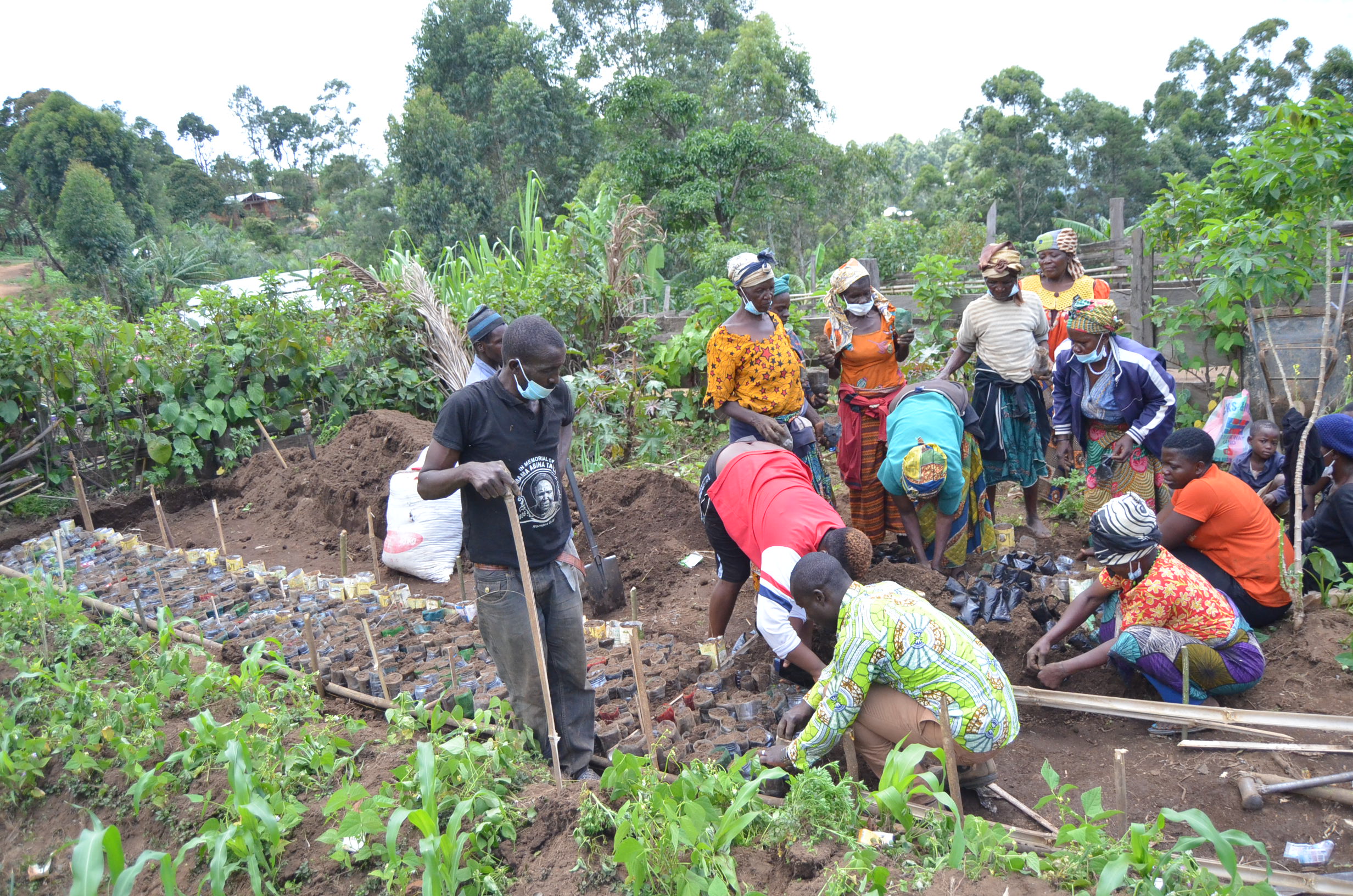Sustainable Livelihood